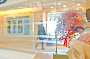 Health Sector - E Learning Courses