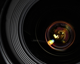 The Online Learning Process with Dillon Productions